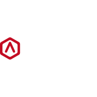 Raise 3D
